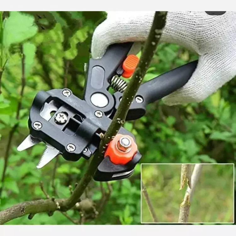 تیغه قیچی پیوند زنی حرفه ای باغبانی ۳ کاره grafting shears blade detail